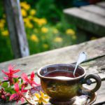 Jak zrobić herbatę z dziurawca i dlaczego warto ją pić?