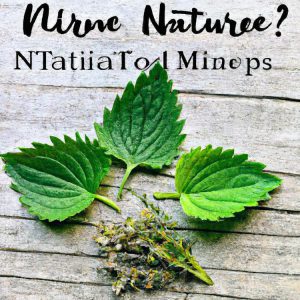 Naturalne zioła w pielęgnacji paznokci – które wybrać?