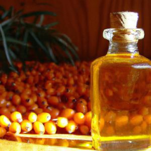 Jakie właściwości ma olejek z rokitnika?